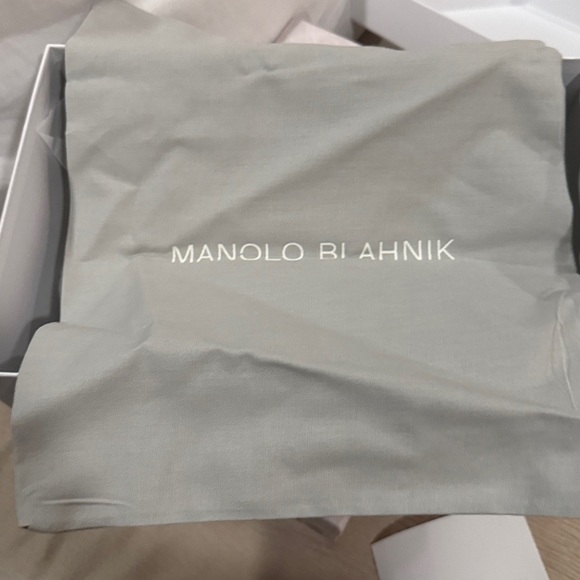 Manolo Blahnik Urema Pointed toe d’orsay pump - Picture 2 of 12